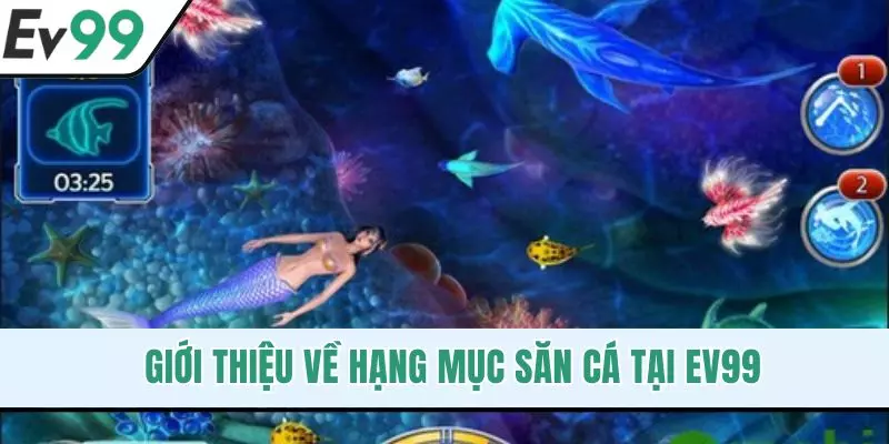 Giới thiệu về hạng mục săn cá tại EV99