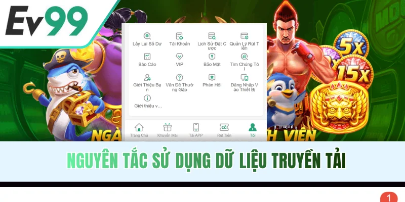 Nguyên tắc sử dụng dữ liệu truyền tải